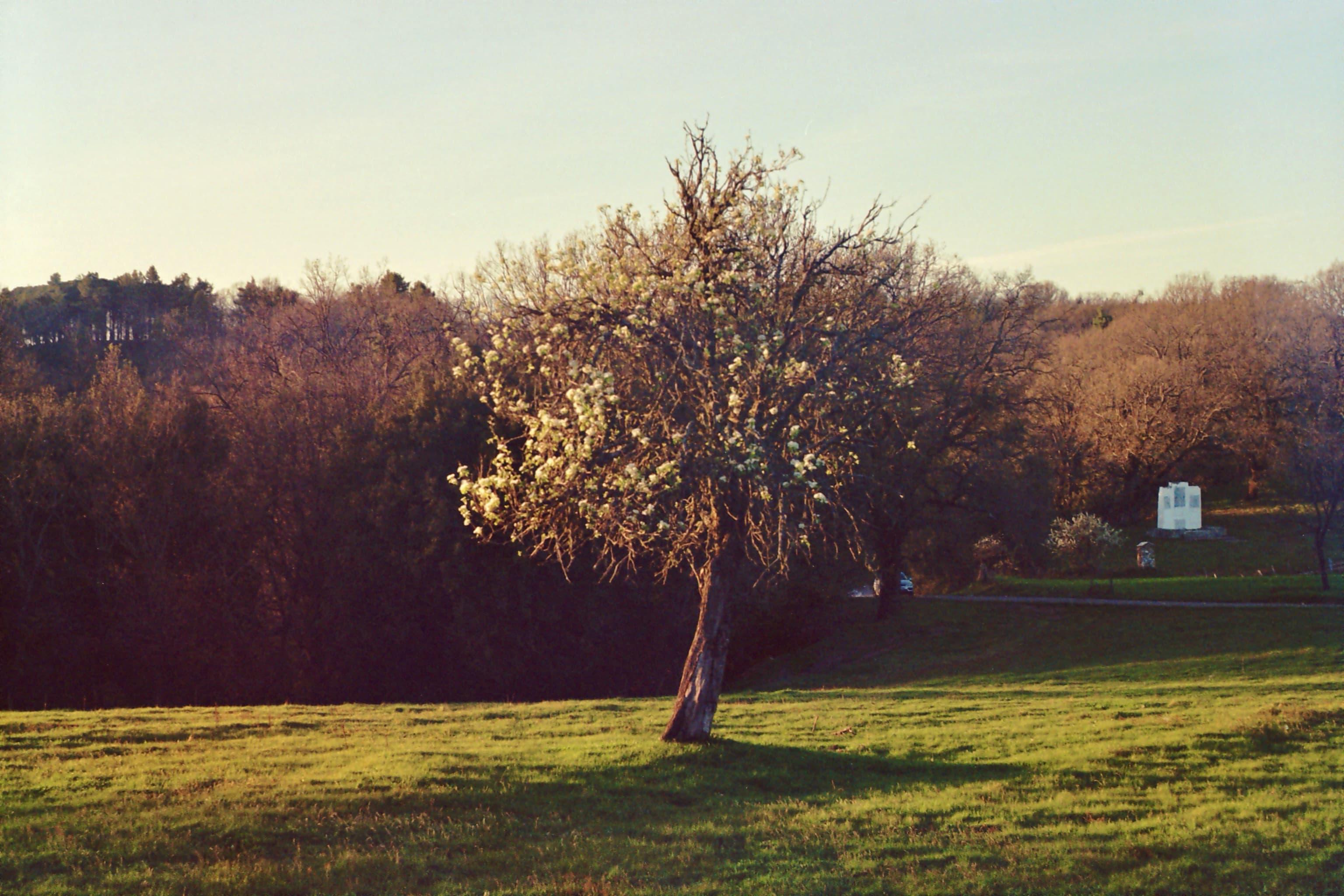 Serenity