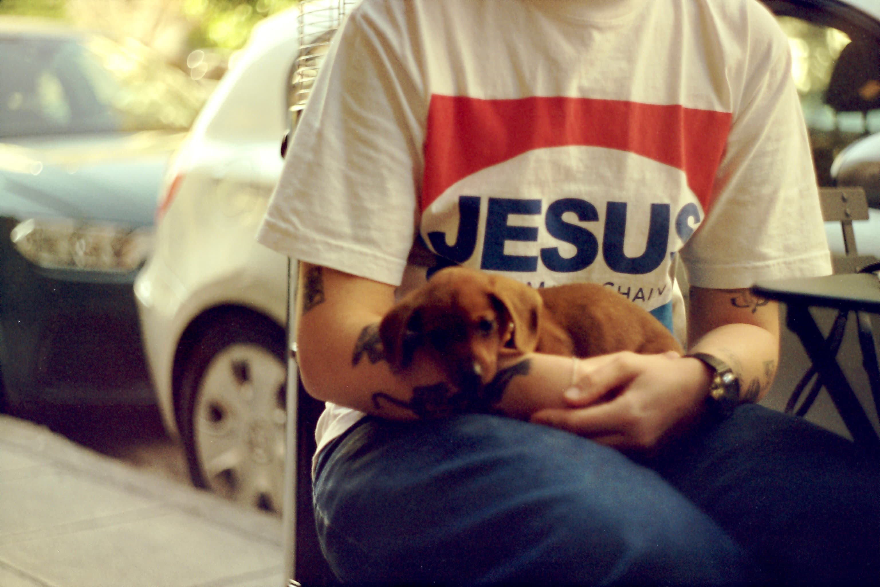 Jesus Puppy