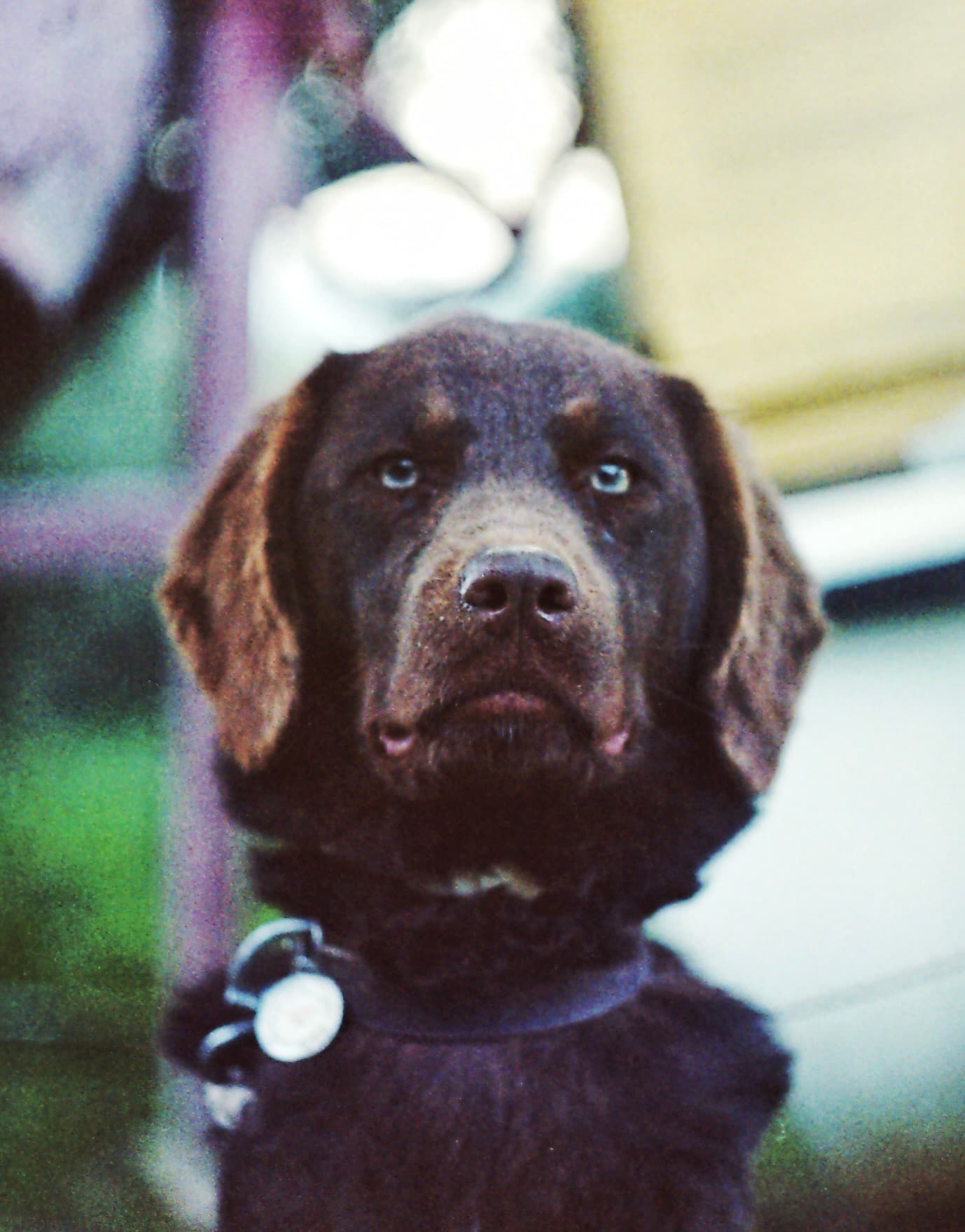 Lucy